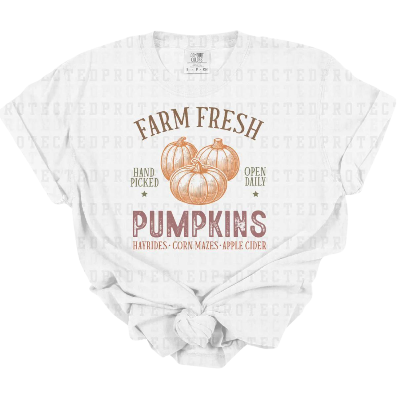 FARM FRESH PUMPKINS (KRT)