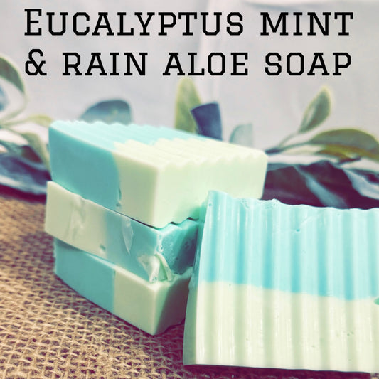 Eucalyptus Mint & Rain Aloe Soap